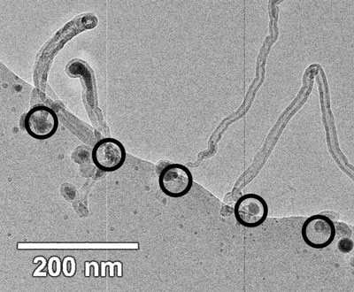 Bright field transmission electron micrograph showing carbon nanotubes