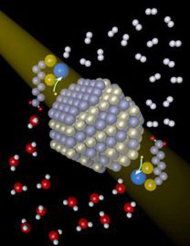 CdSe Nanocrystals absorb light and transfer electrons to a Ni catalyst 