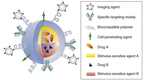 multifunctional liposome with encapsulated drugs and genes, imaging agent, cell-penetrating agent and specific targeting moiety