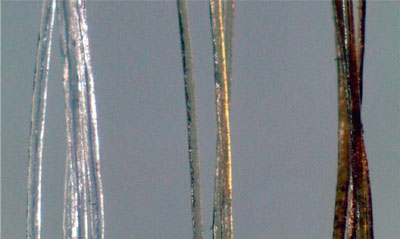 Gold nanoparticles darken hair after treatment for one day, center, and 16 days, right (untreated hairs, left)