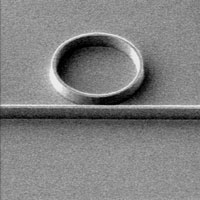 Microscopy image of a waveguide-ring resonator