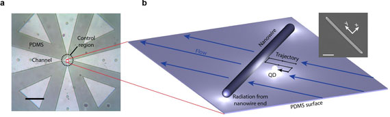 microfluidic crossed-channel device