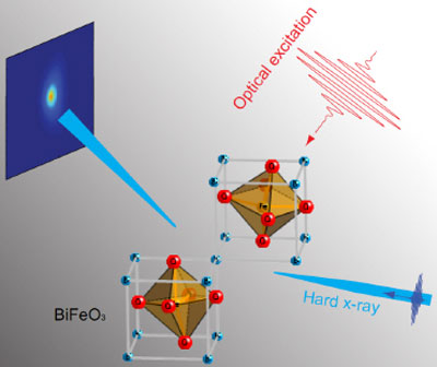 dynamics of the lattice structure of a BiFeO3 thin film