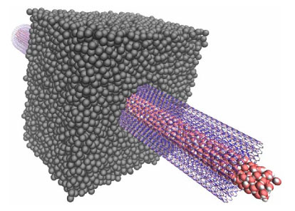 osmotic transport of water through a transmembrane boron nitride nanotube