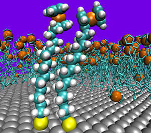 Redox active ferrocenealkanethiol molecules pack together and assemble into monolayer thin films on silver electrodes