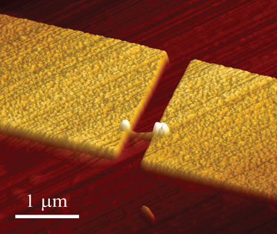 An atomic force microscope image of a nanowire single photon emitter