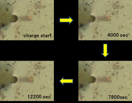Expansion of a silicon particle accompanying charging