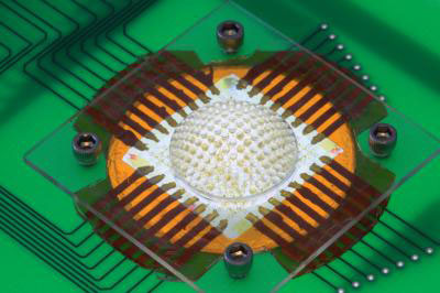 new digital cameras exploit large arrays of tiny focusing lenses and miniaturized detectors in hemispherical layouts