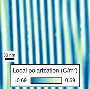 Stripe domain polarization map from X-ray Bragg projection ptychography phase reconstruction of a PbTiO3 thin film
