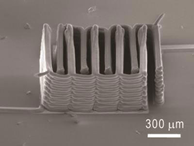3-D Printed Microbattery