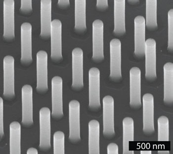 SEM image of InP nanowires
structured with gold particles by nanoimprint lithography