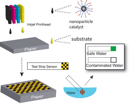 nanoparticle-based test strips printed on an inkjet printer for detecting disease-causing bacteria in drinking water