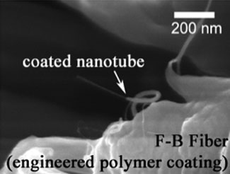 nanotube coated with polymer