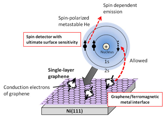 Elucidation of Spin State of Conduction Electrons in Graphene