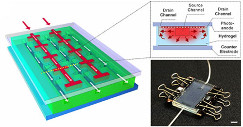 regenerative solar cell mimics nature by use of microfluidic channels