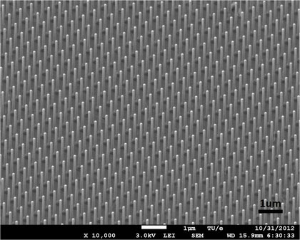 A nanowire array