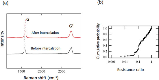 Raman spectra before and after intercalation