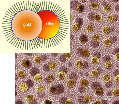 Silver and gold nanoparticle heterodimers