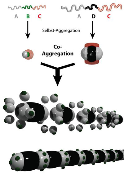 Durch Selbst-Aggregation schließen sich Triblock-Terpolymere jeweils zu Nanopartikeln zusammen