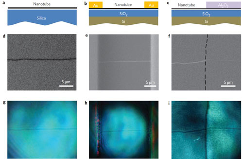 optical imaging and spectroscopy of an individual nanotube on substrates and in devices