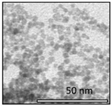 Cerium Dioxide Nanoparticles