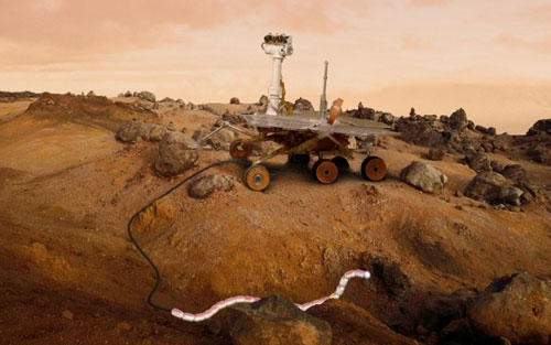 snake robot on Mars