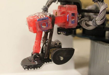climbing robot's sticky foot