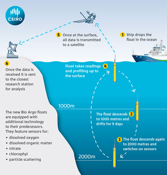 An infographic on how data is collected from an Argo float