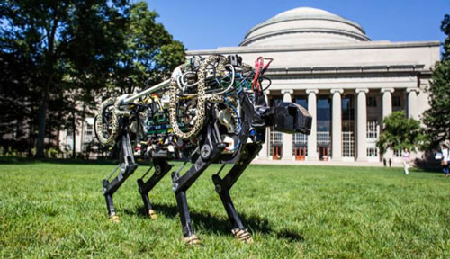 MIT cheetah-bot