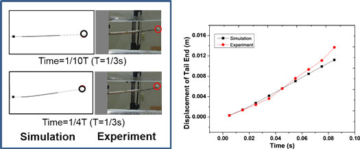 Comparison between simulated and experimental displacement of the fin of a robotic fish