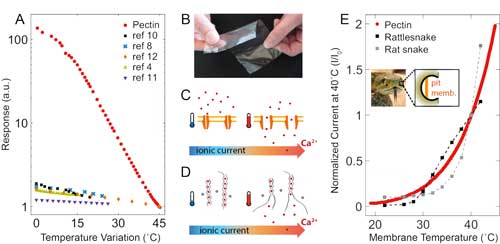 Comparison between artificial skins, snakes’ pit membrane and pectin films