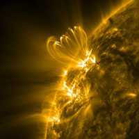 Magnetic loop structures in the corona of the Sun