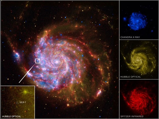  ULX-1 is located near a spiral arm of M101