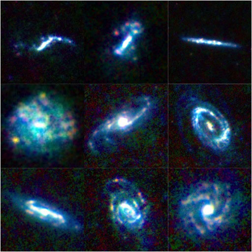 Galaxies in the Herschel Reference Survey