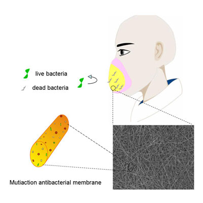 Schematic illustration of the use of multiaction antibacterial fibrous membranes as protective face mask