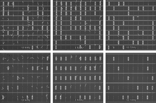 Optical microscope images of electrode arrays after dielectrophoretic alignment