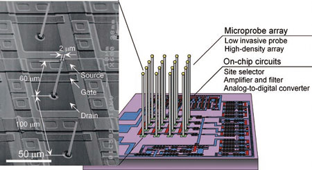 Microprobe electrode array fabricated by VLS growth