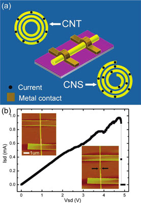graphene, multi-walled carbon nanotube, carbon nanoscroll