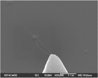 Single-walled carbon nanotubes grown on an AFM tip