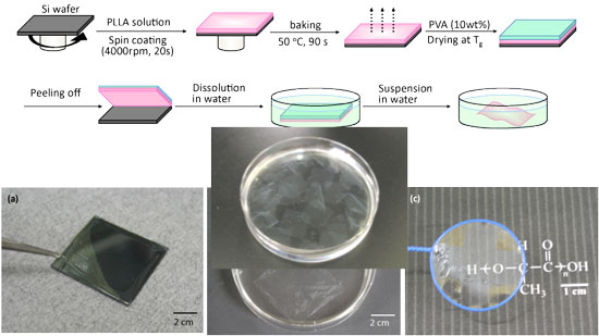 Preparation of PLLA nanosheets and appearance