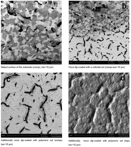 SEM images of a layer from a colloidal sol deposited onto a tape-casted substrate sintered at 1400C