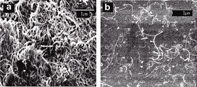 DNA-encased maulti-walled carbon nanotubes (right)