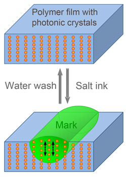 Schematic illustrations of the structure of
the unit cell and the mechanism of writing or erasing realized by infiltrating or removing the hygroscopic salt