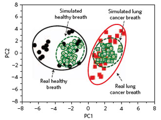 Principal component analysis (PCA) of the data set of real and simulated breath