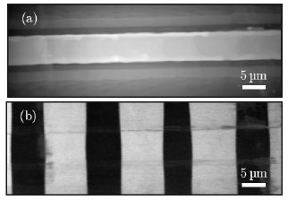 Topography and simultaneously recoded piezoresponse  of a titanium implanted waveguide in a periodically poled lithium niobate (PPLN) crystal