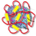 protein_nanocapsule