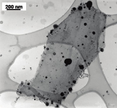 TEM image of titanium dioxide (smaller size) and silver (larger and darker) particles deposited on a single reduced graphene oxide sheet