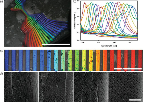 photonic crystal stripe patterns with 20 different bandgaps