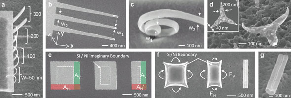 SEM images of the variation of curvature with varying widths showing that nanostructures with both homogeneous and varying radii of curvature can be self-assembled