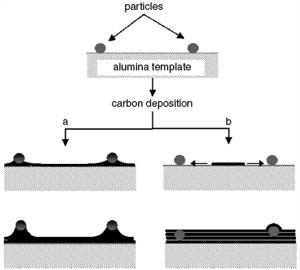 Growth mechanisms for carbon nanotubes with particles embedded in the walls